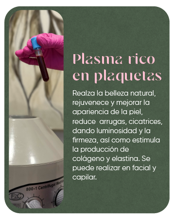 Cuadros servicios-08